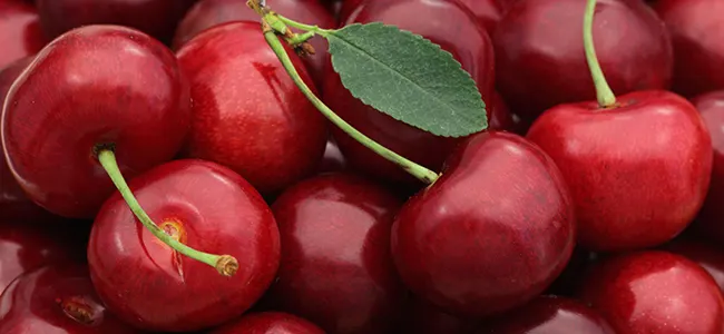 List of 8 Low Carb Vegetables & Fruits